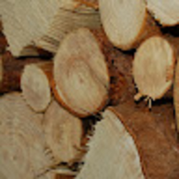 Meet your Posher, Andrew - Picture 1 of 1